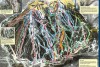 Copper Mountain piste map
