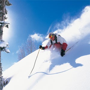 Waist deep powder