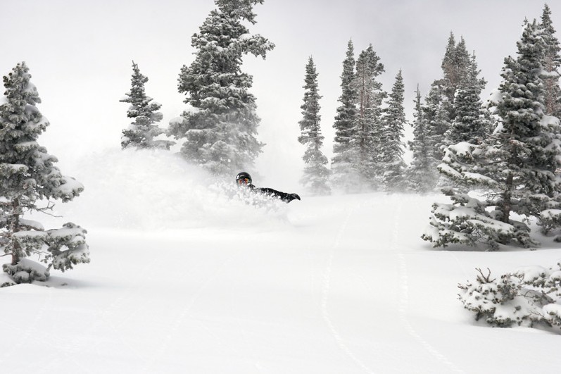 snowbird powder