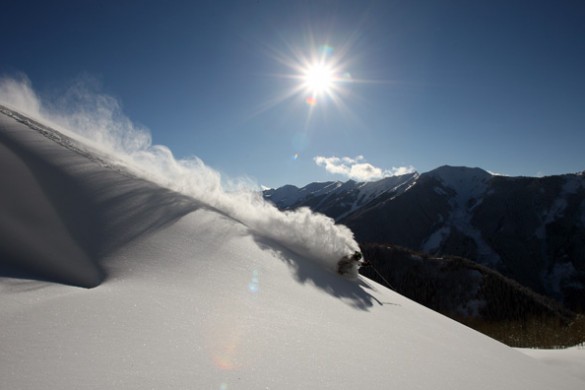 Aspen powder
