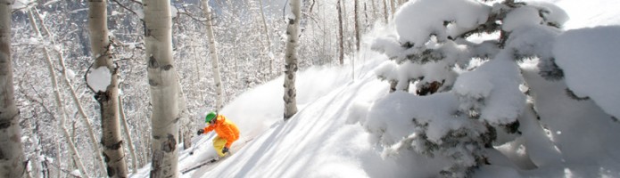 beaver creek sale