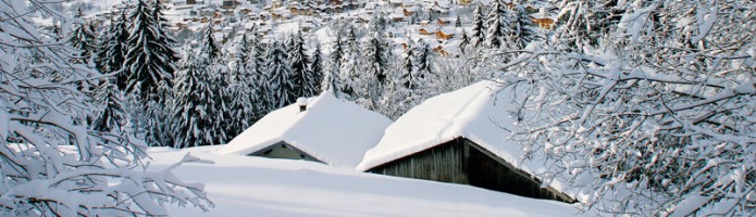 Ski Chalet Holidays