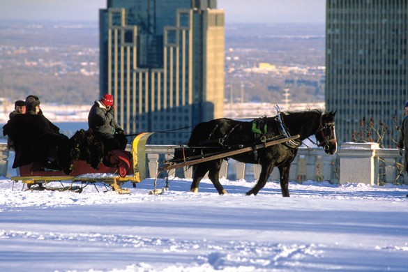 Montreal city, Canada, horse drawn sleigh