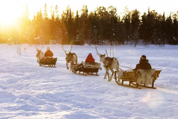 Reindeer Sleigh, Levi Ski Resort, Finland