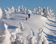 Ski USA & Canada