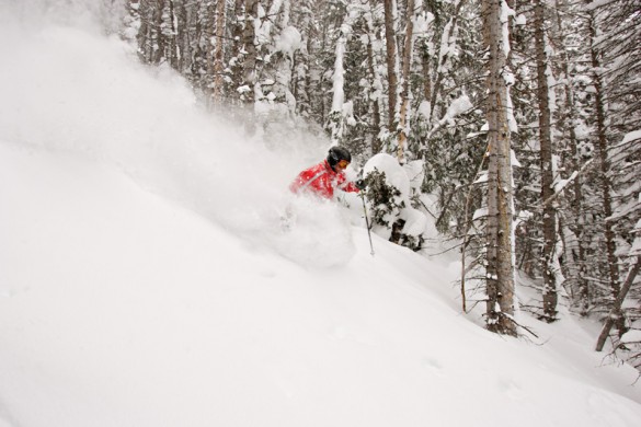 Park City USA, forrest powder