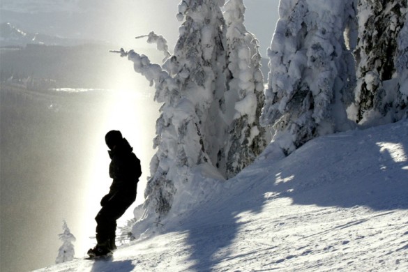 Sivler Star CA, snowboarder silhouette