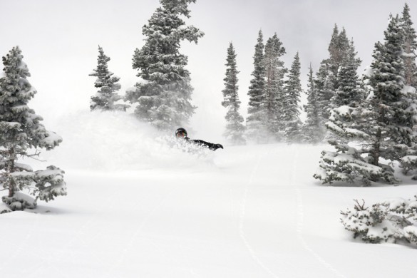 Snowbird USA, deep powder