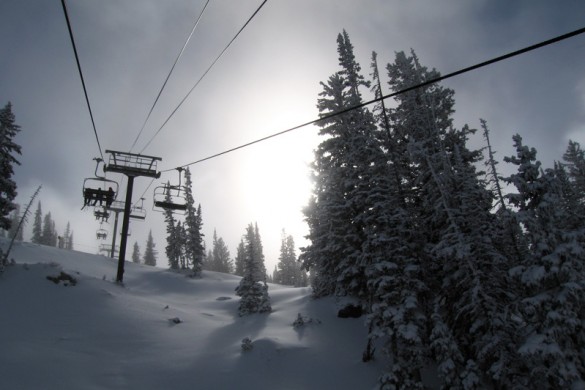 Snowbird USA, lift through the trees