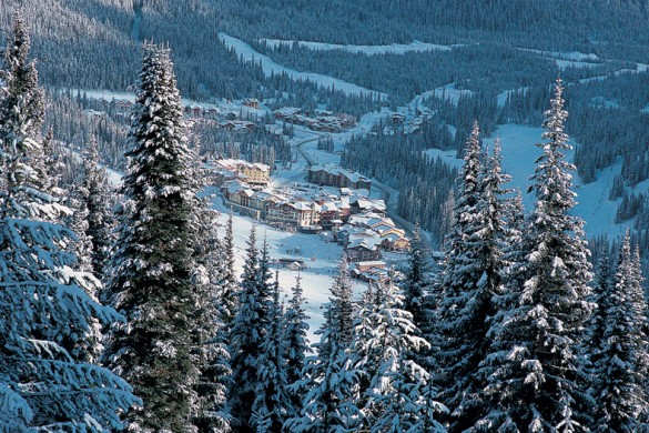 Sun Peaks CA, tree tops