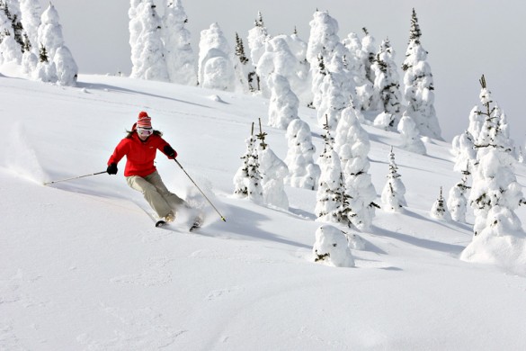 Sun Peaks CA, dodging the trees