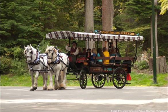 Vancouver city horse-drawn carriage, Canada