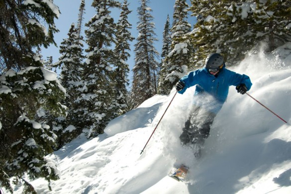 Winter Park, USA, powder through trees