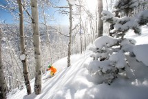 Beaver Creek Skiing