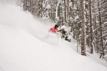 Park City USA, forrest powder