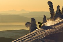 Sun Peaks CA, evening ski passed snow trees