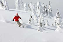 Sun Peaks CA, dodging the trees