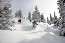 Vail, USA, powder through trees