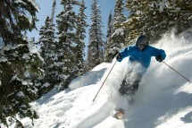 Winter Park, USA, powder through trees