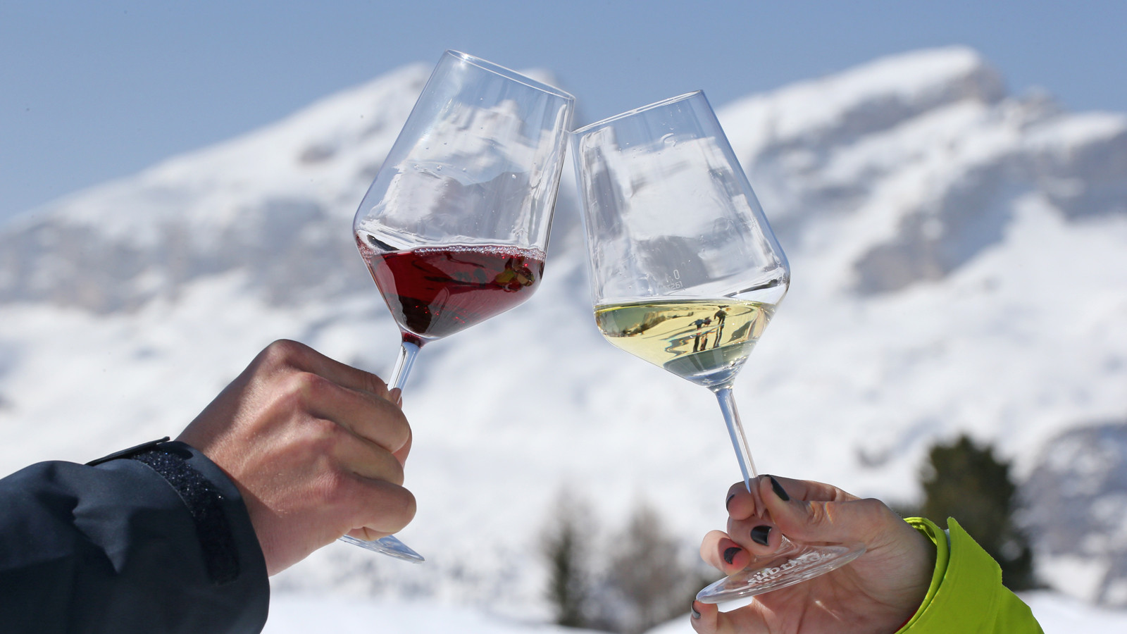 wine ski safari