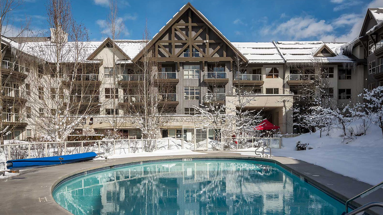 Aspens On Blackcomb Whistler Canada Aspens On Blackcomb Whistler Canada